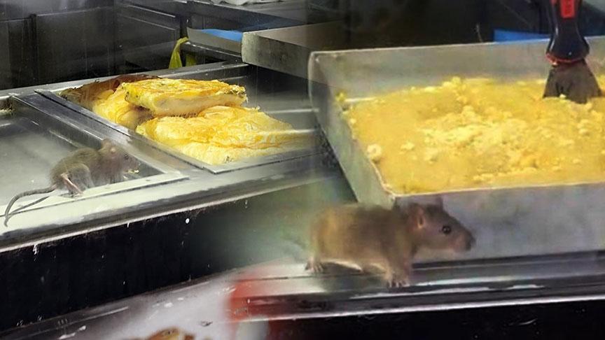 İzmir'den iğrenç görüntü! Fare böreklerin arasında cirit attı: İşletmeden şok savunma