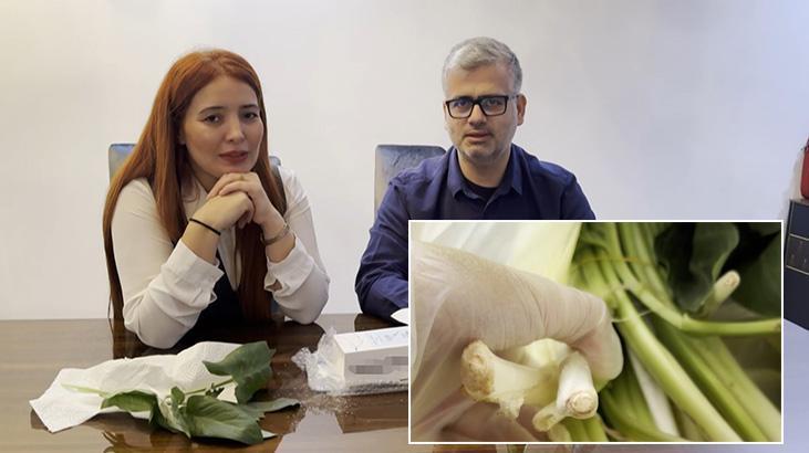 Pazardan aldığı ot, zehir çıktı! İlk lokmada fenalaştı: Çamaşır suyu içmiş gibi oldum