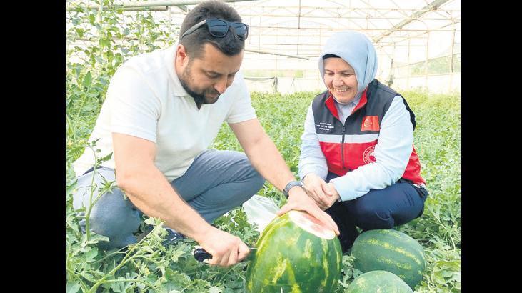 Erkenci Karpuz tezgaha geldi