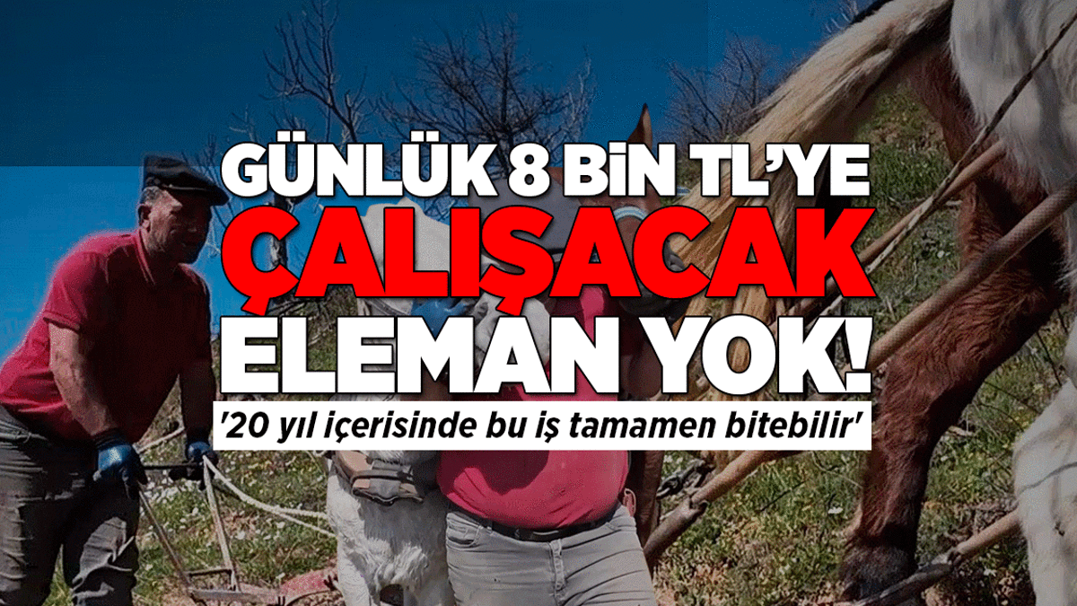 Günlük 8 bin TL'ye çalışacak eleman yok: '20 yıl içerisinde bu iş tamamen bitebilir'