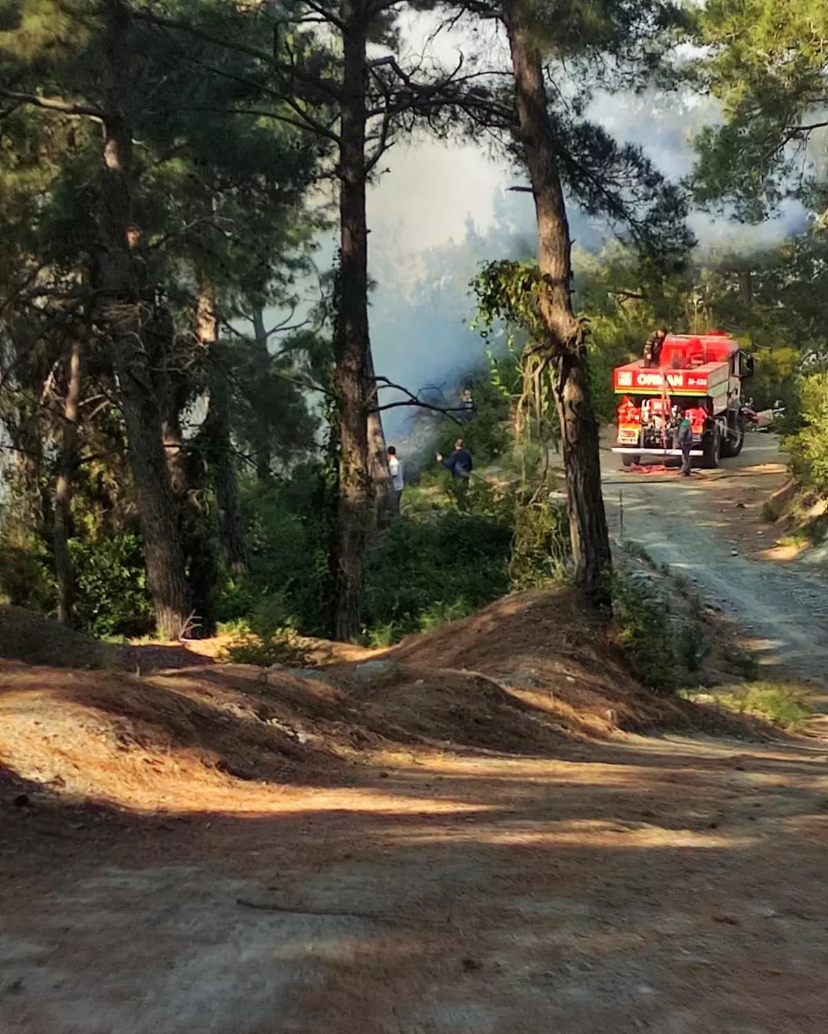 Hatay'da Ormanlık Alanda Çıkan Yangın Kontrol Altına Alındı