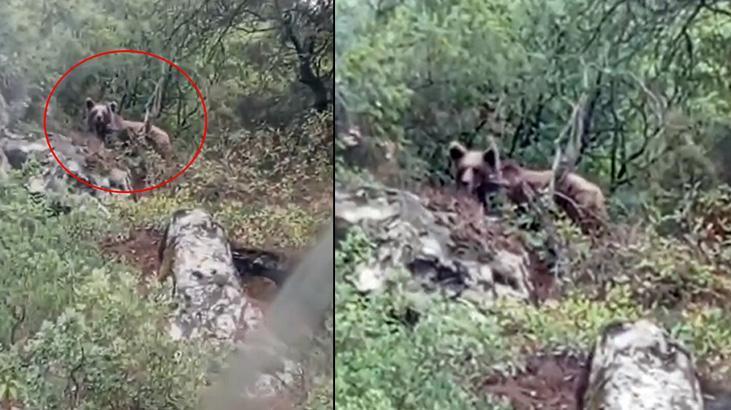 Kepçe operatörü görüntüledi! kaymakamlık uyarı yaptı: Bilmediğiniz yerde bulunmayın