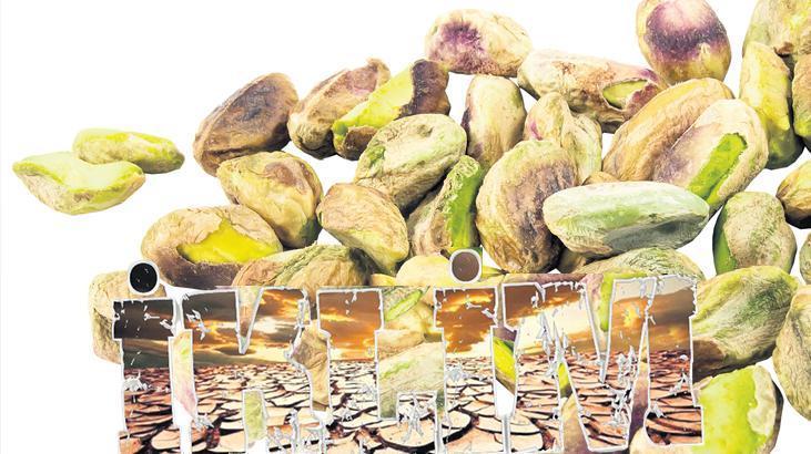 Savaş var ama asıl sorun İKLİM