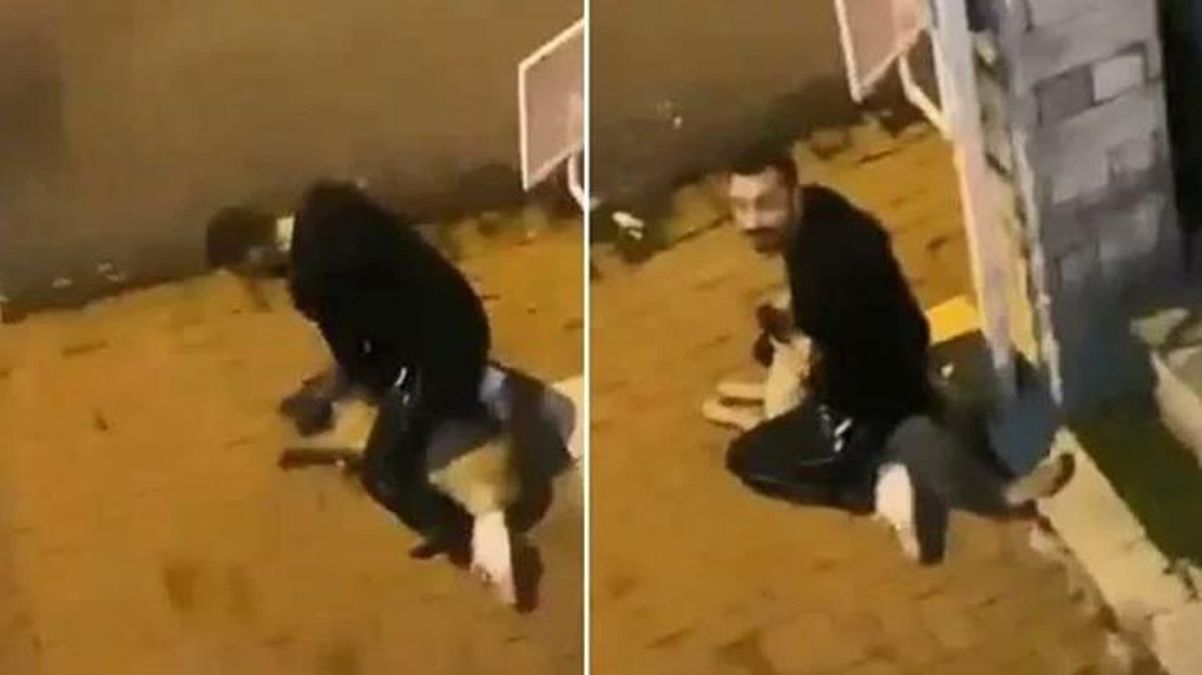 Son Dakika: İstanbul Sarıyer'de köpeğe işkence eden zanlı çıkarıldığı mahkemece tutuklandı