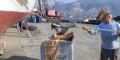 İSKENDERUN KÖRFEZI VE SAMANDAĞ BÖLGESINDE DENİZ TEMİZLİĞİ