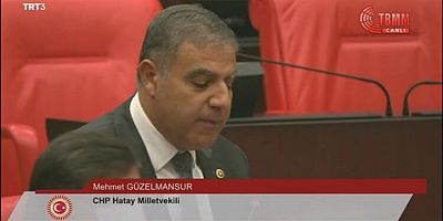 MEHMET GÜZELMNASUR TBMM'DE AKARTAKIT ZAMMINI KONUŞTU