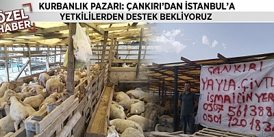 Tuzla Kurban Pazarında Hareketlilik Başladı: Besiciler Yer Kiralarından Şikayetçi