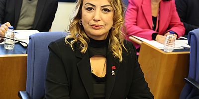 YILDIRIM-KARA: DEPREM BÖLGESİNDEKİ YURTTAŞLARIMIZIN RUH SAĞLIĞI KONUSUNDA ENDİŞELİYİZ
