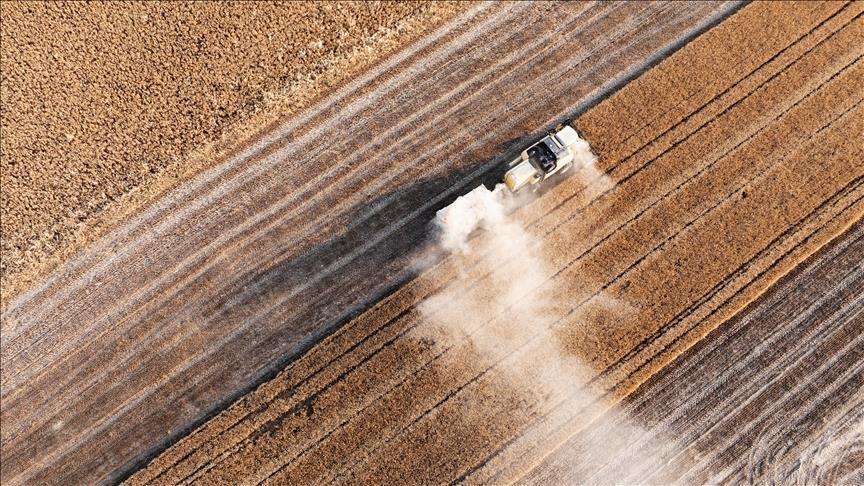 Tarım sezonunun ilk 4 ayında yağışlar geçen yıla göre yüzde 38 arttı