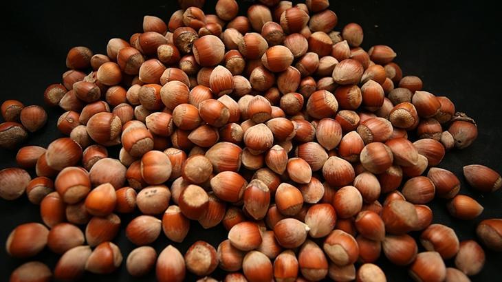 TMO kabuklu fındık satışı yapmadığını duyurdu